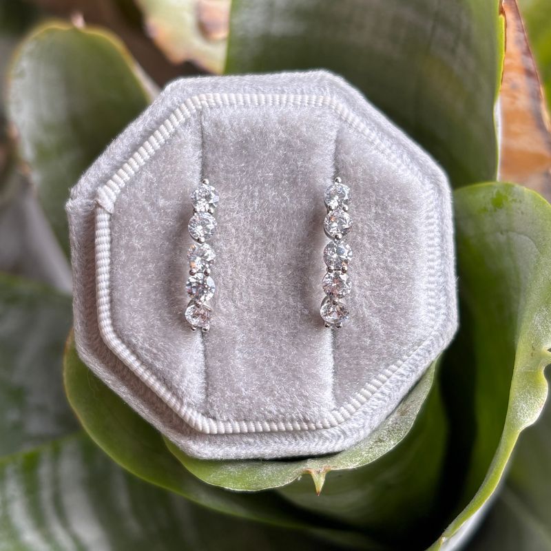 Round crystal huggies on gray holder with a plant in the background