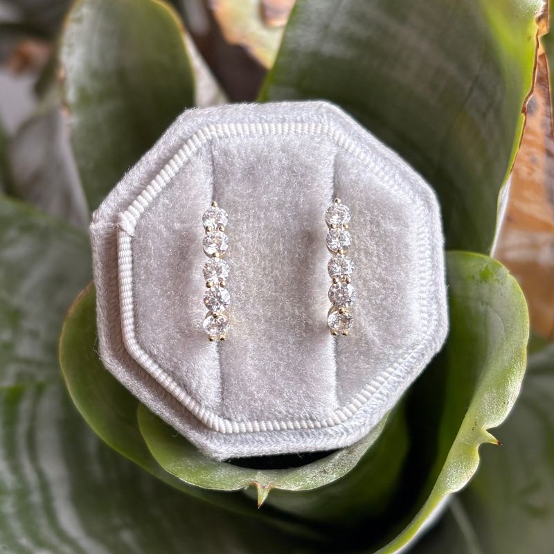 Round crystal huggies on gray holder with a plant in the background